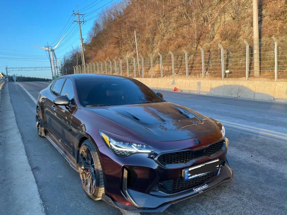 Kia Stinger V1 Carbon and FRP Hood by DAIMION