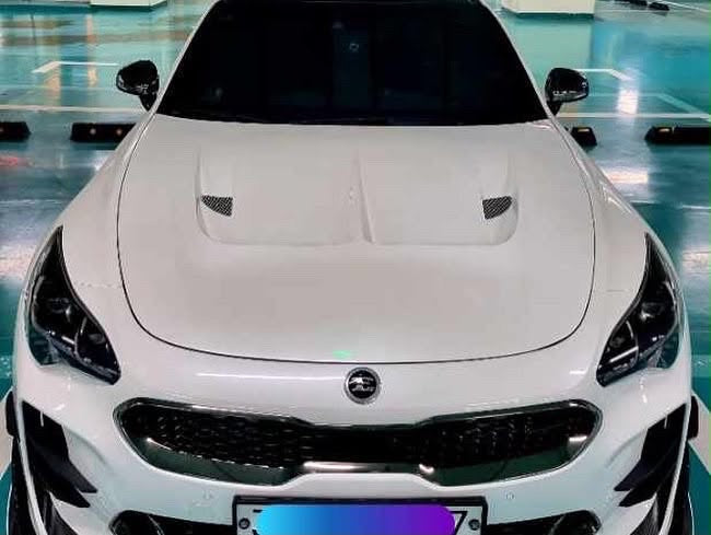 Kia Stinger V1 Carbon and FRP Hood by DAIMION