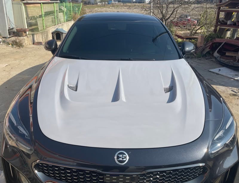 Kia Stinger V1 Carbon and FRP Hood by DAIMION