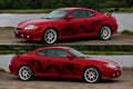 Custom Body Panel Decal Order for Pedro the V6
