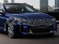 Kia Stinger 2018+ Genuine Carbon Fiber Factory Trim
